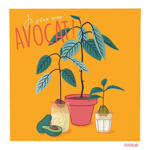 Carte L’avocat