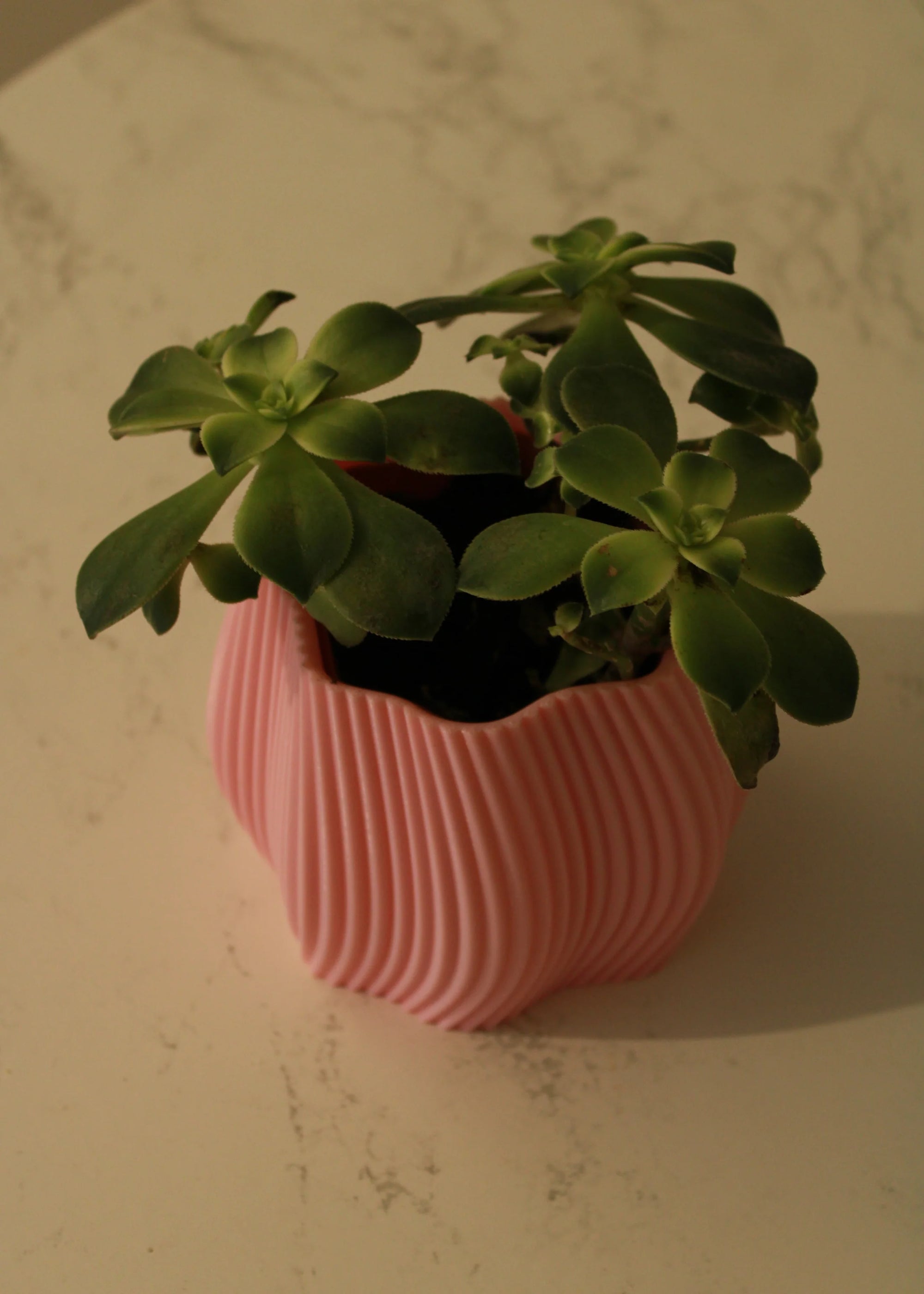 Cache-pot Ondra - Rose