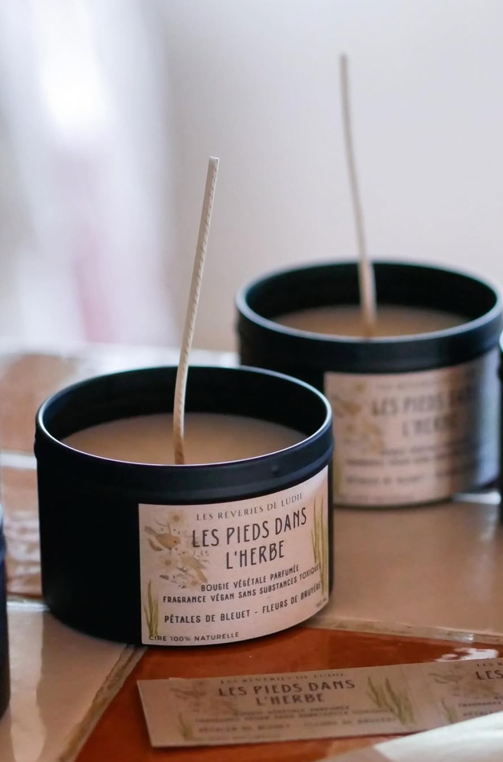Les Rêveries de Ludie