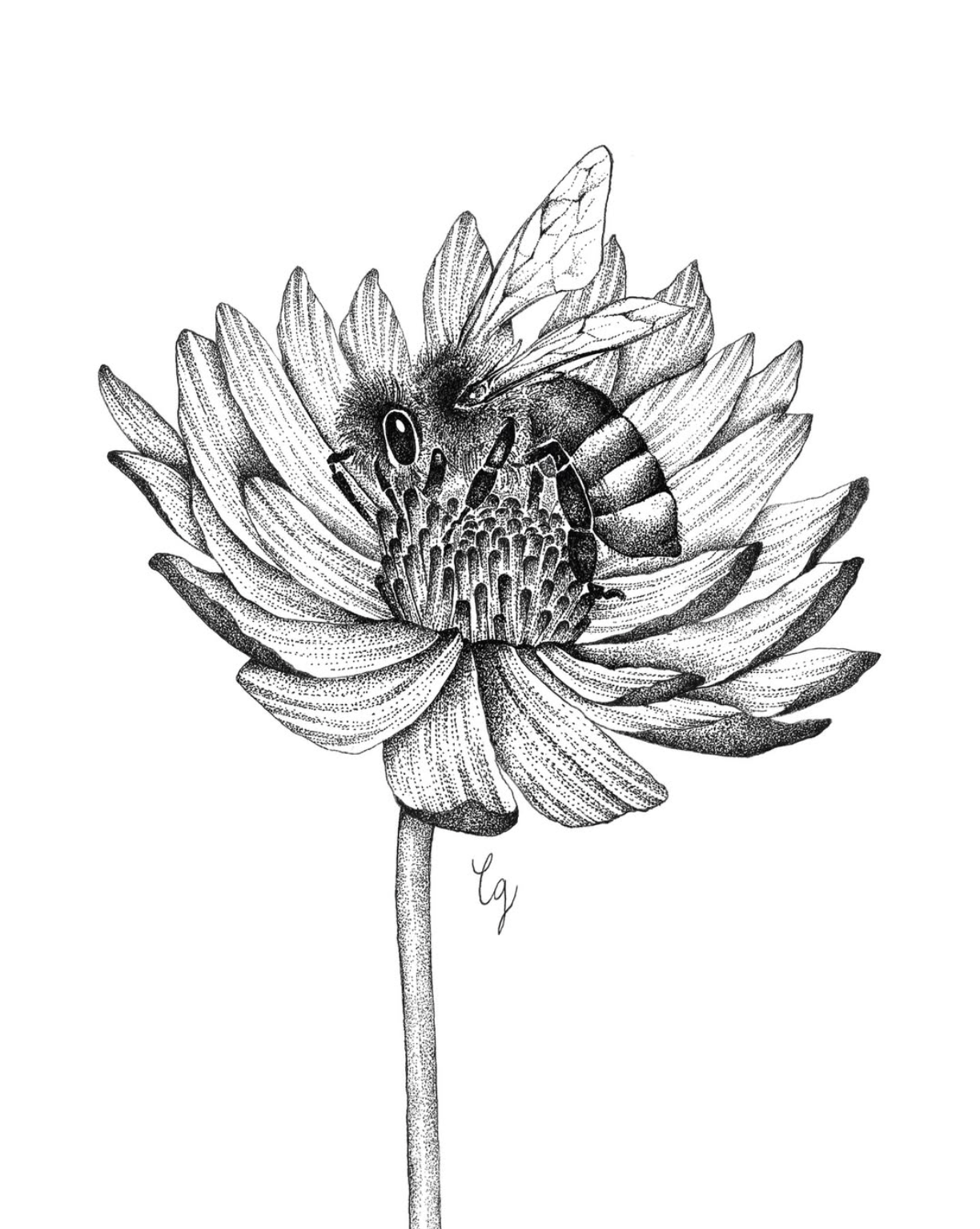Candice Gendron Illustrations