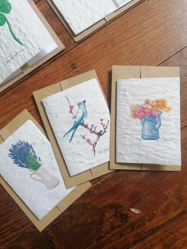 Marion Photographisme