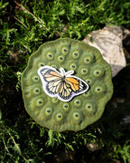Sticker Papillon Monarque