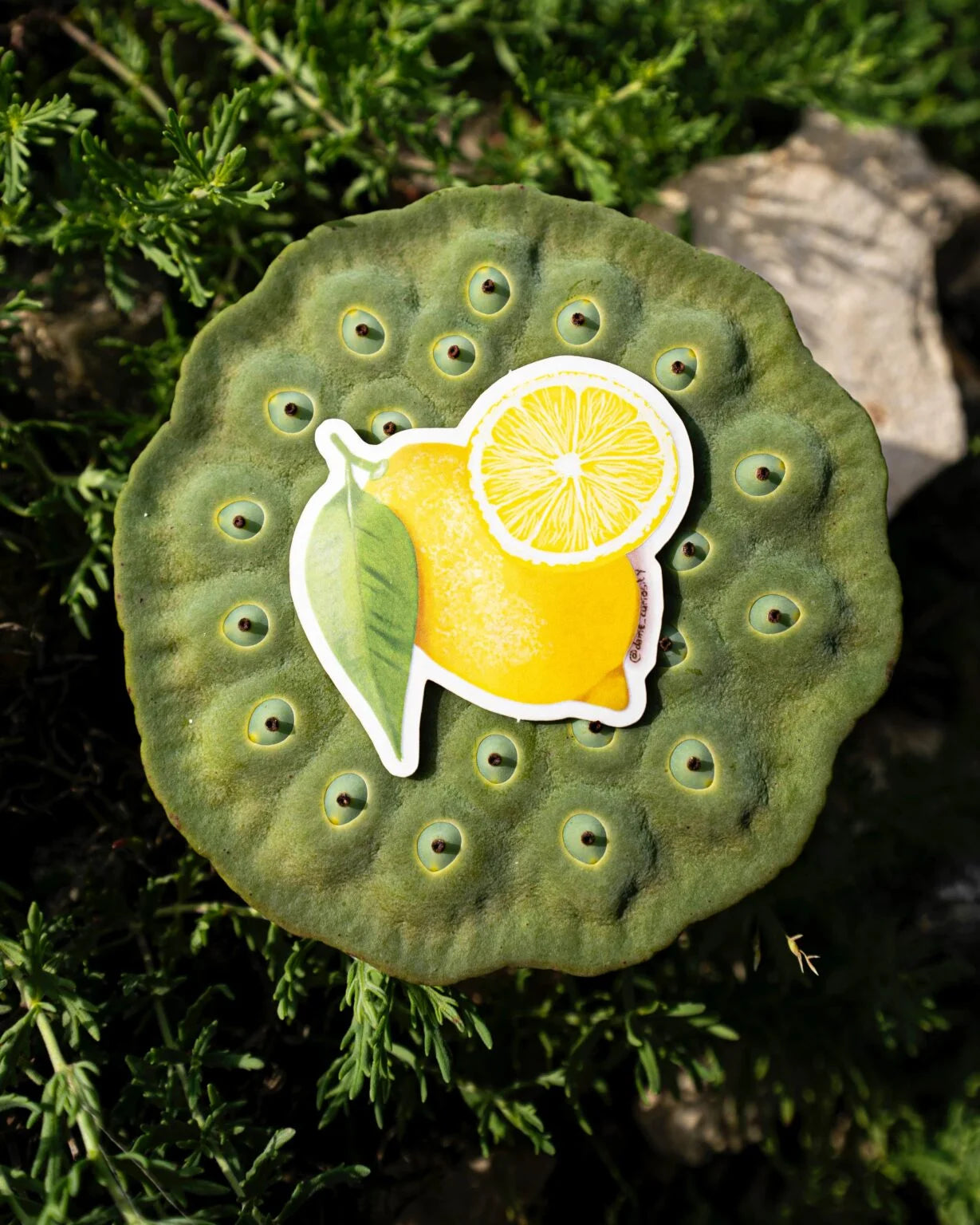 Sticker Citron
