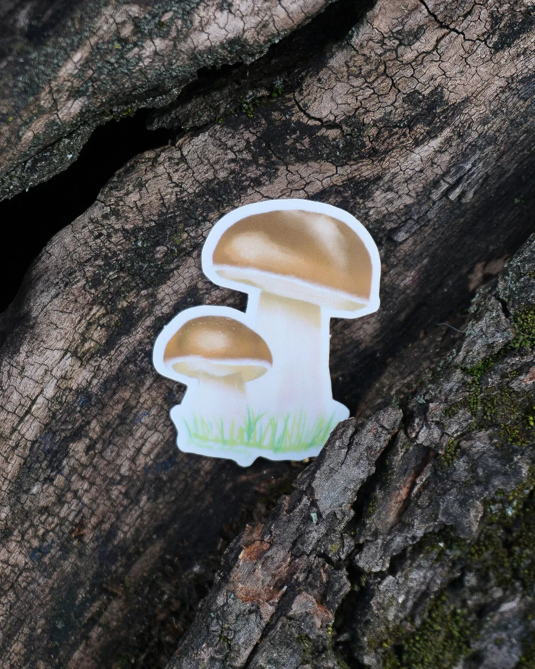 Sticker Cèpe