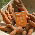 Twisted Carrot Soap