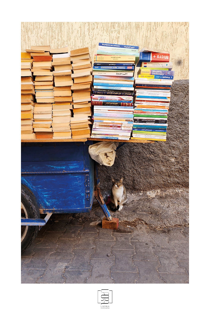 Affiche Le libraire