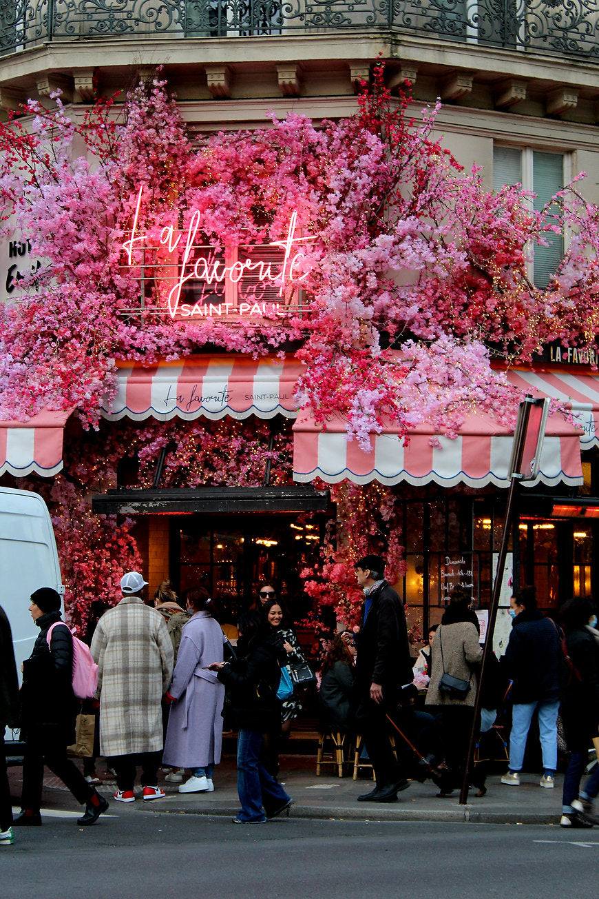 Affiche Un éclat de rose et le coeur s'envole