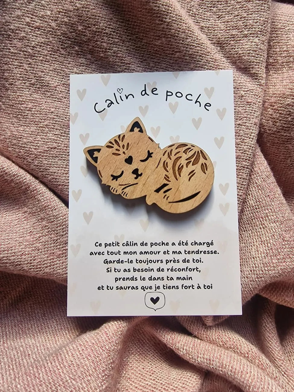 Câlin de Poche Chat