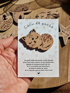 Câlin de Poche Chat