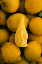 Vase Mangue