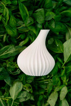 Vase Gousse d'Ail