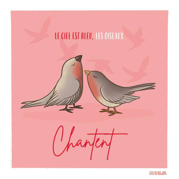 Carte Les oiseaux