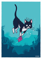 Carte Poisson-Chat