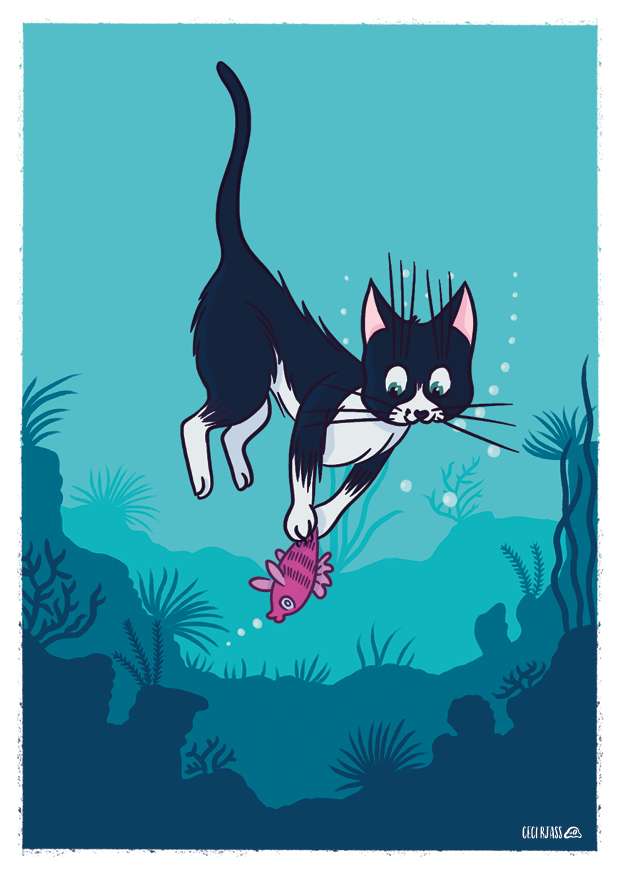 Carte Poisson-Chat