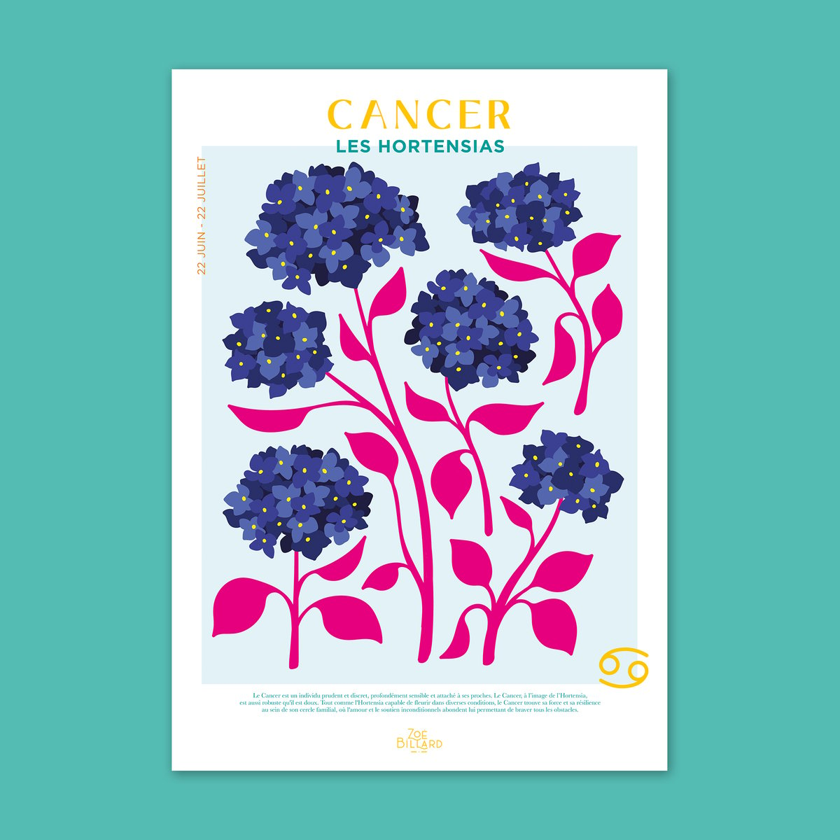 Cancer Poster - Hydrangeas