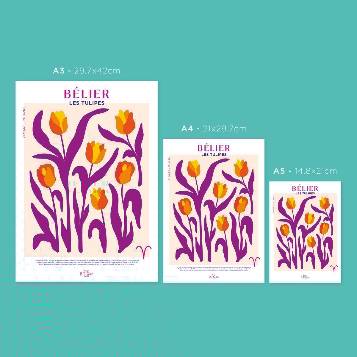 Affiche Bélier - Les Tulipes