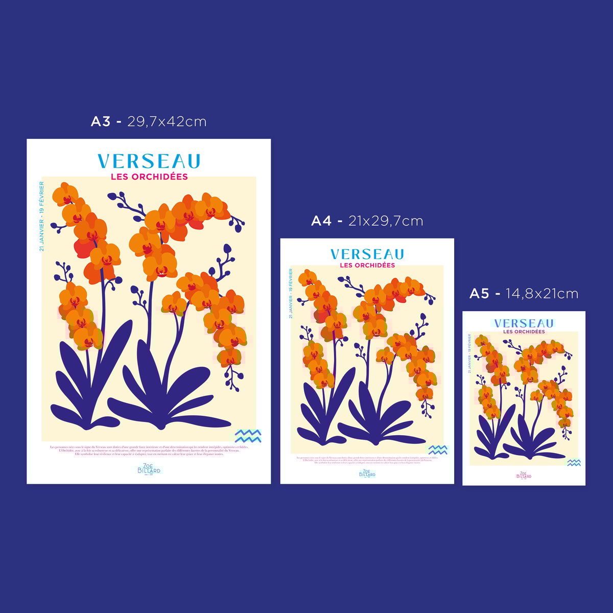 Affiche Verseau - Les Orchidées