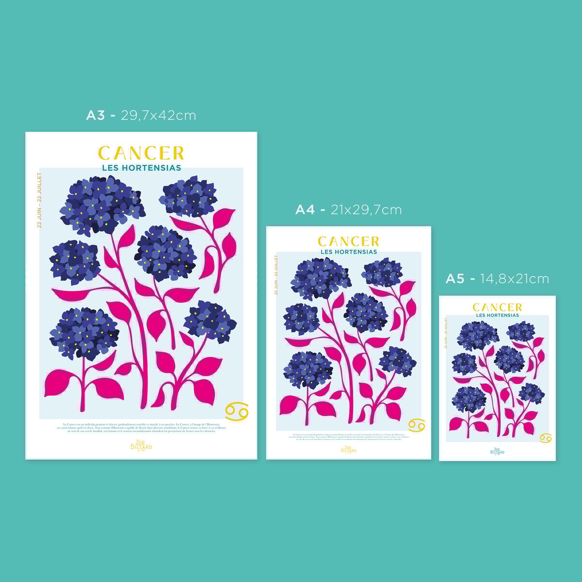 Cancer Poster - Hydrangeas