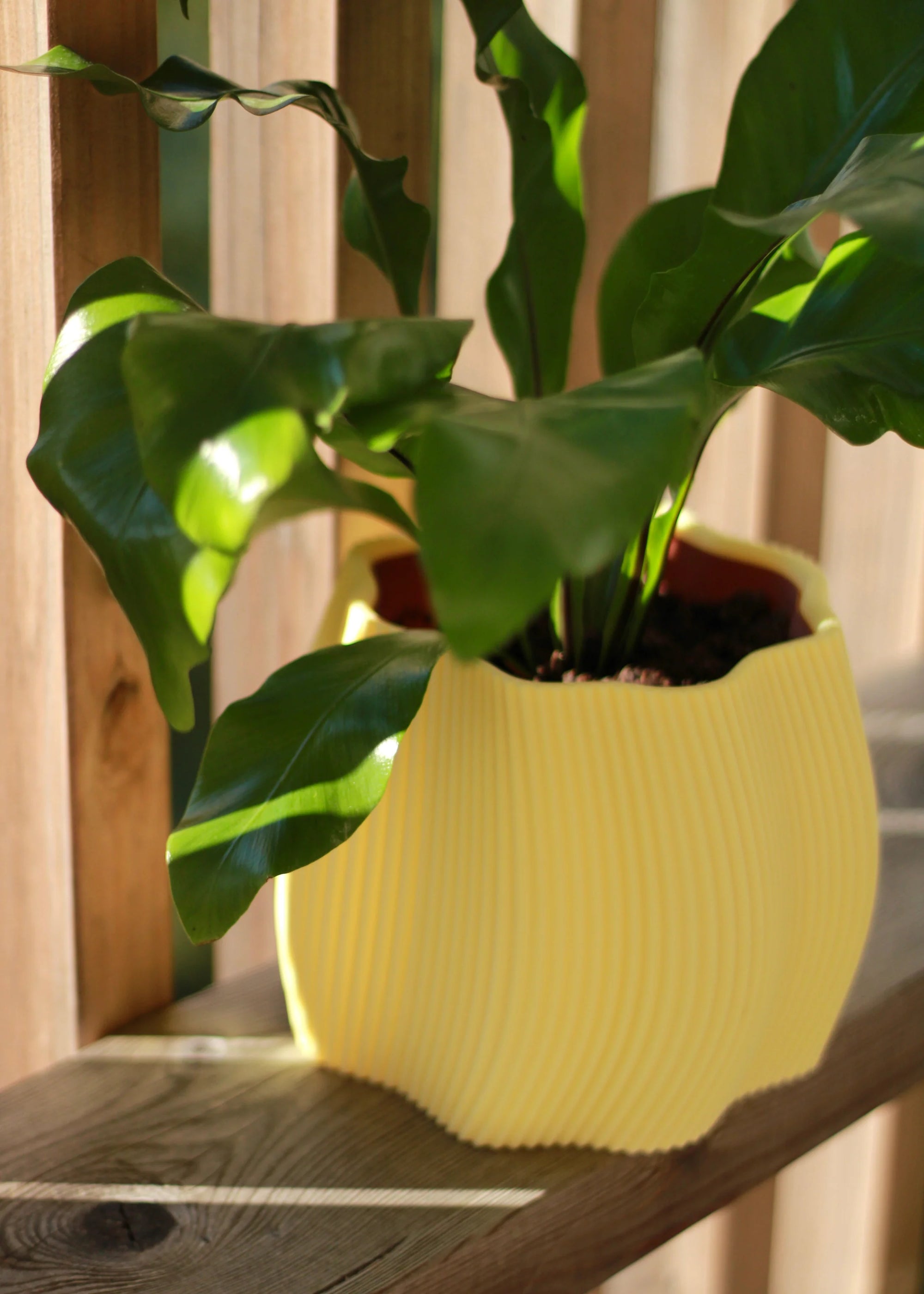 Cache-pot Ondra - Jaune citron