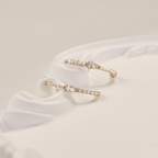 Aigis earring