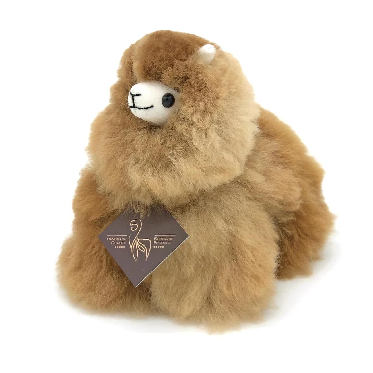 a teddy bear with a tag on its ear 