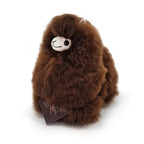 a brown teddy bear sitting on a white surface 