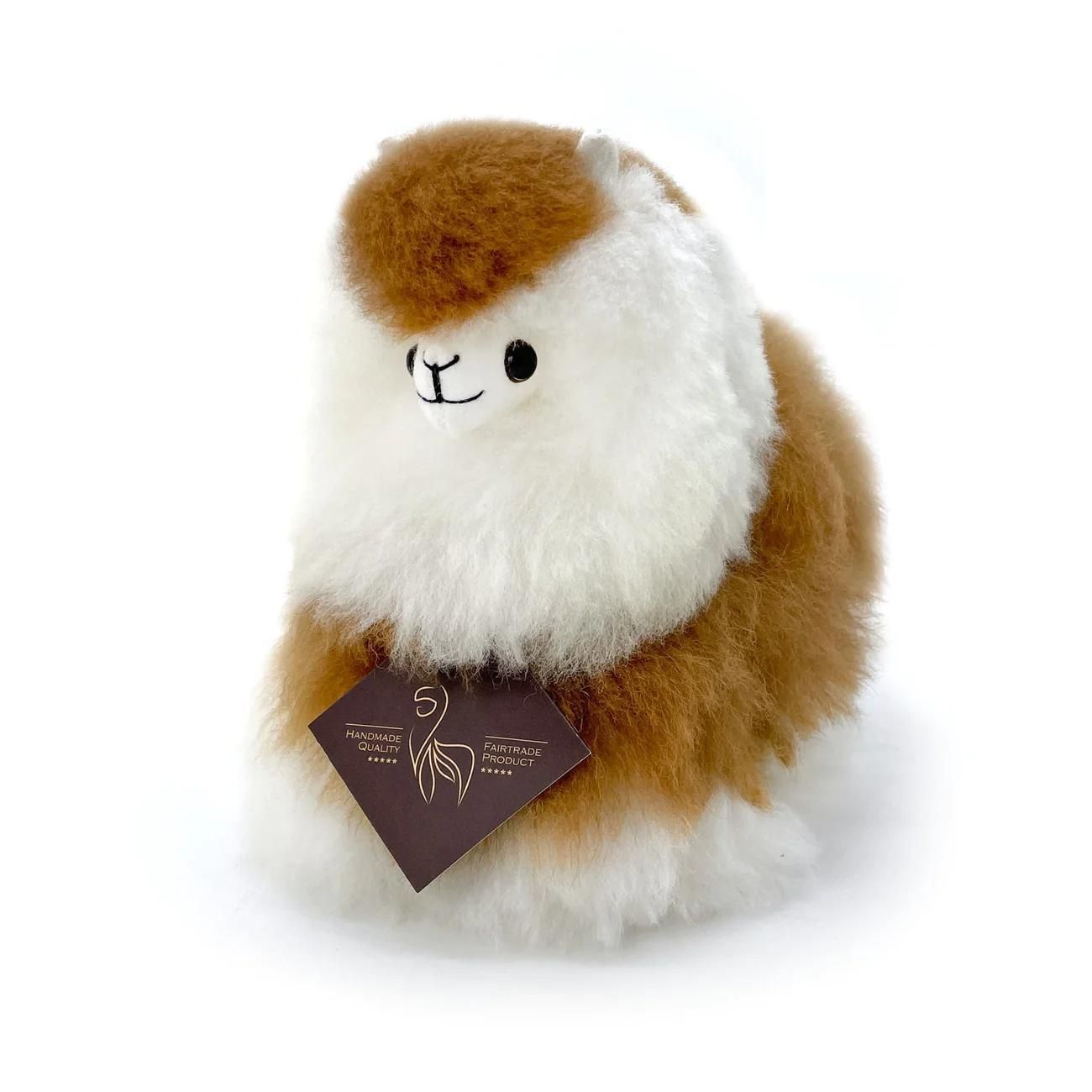 a small white dog sitting on a piece of paper 