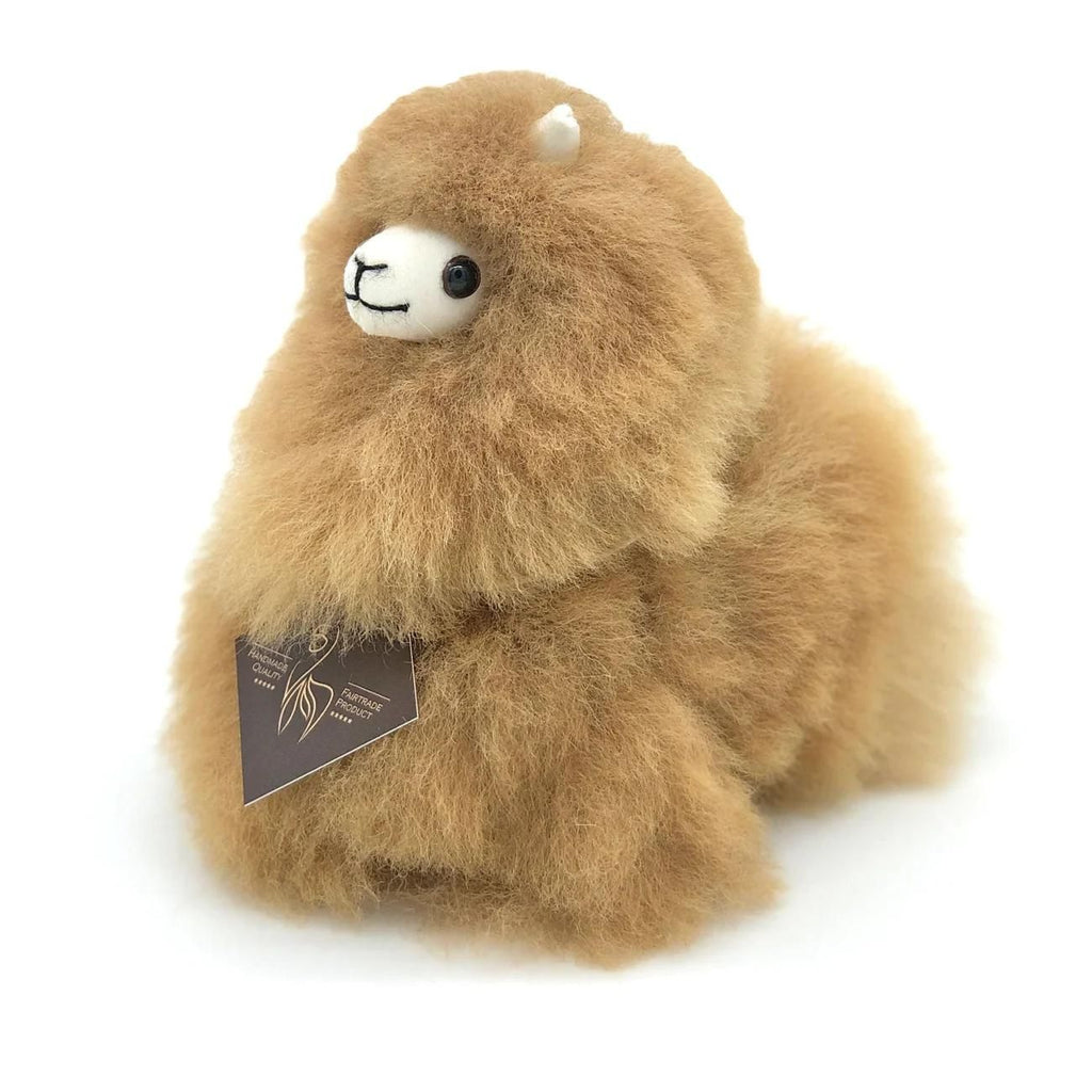 a brown teddy bear sitting on a white background 