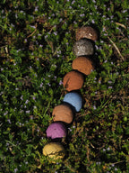 Coffret Bombamix