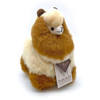 a brown teddy bear sitting on top of a table 