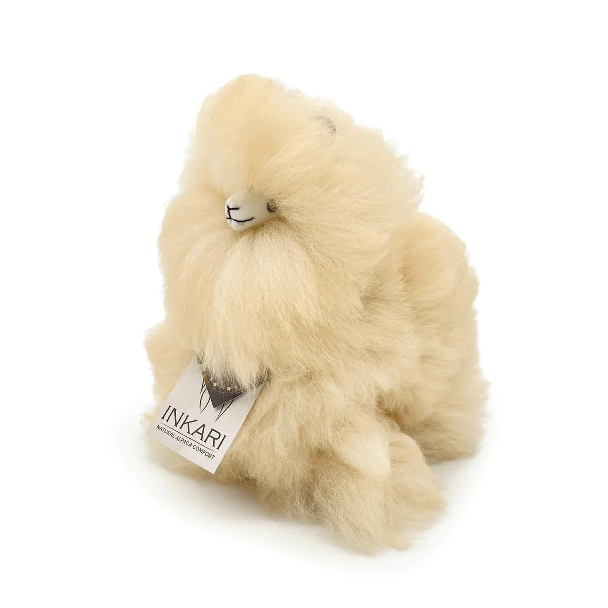 a close up of a dog with a remote control 