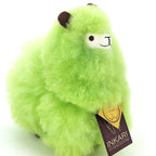 a close up of a green bird on a book 
