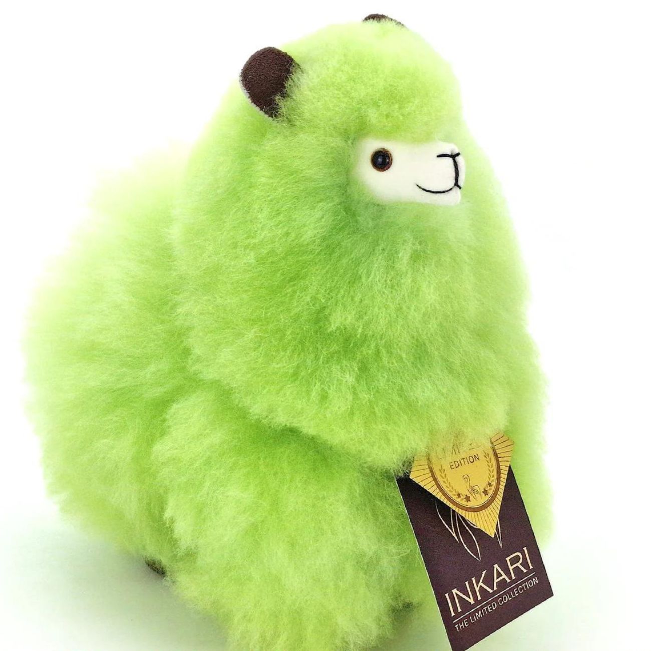 a close up of a green bird on a book 