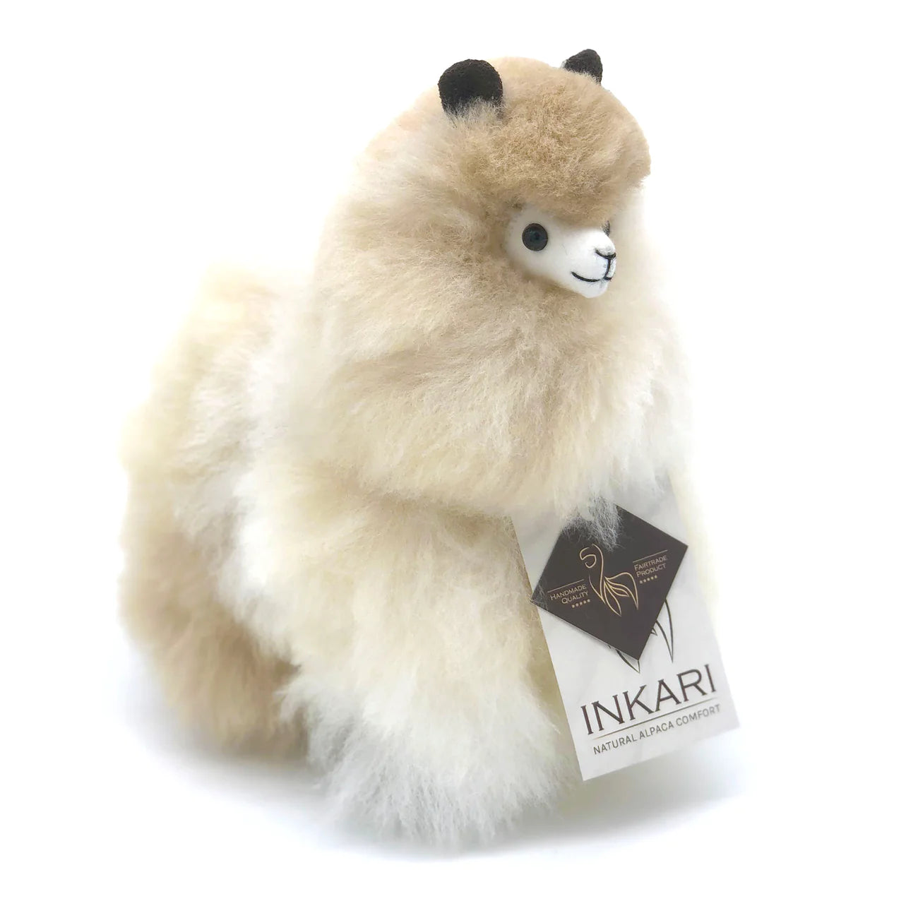 a teddy bear is sitting on a bench with a book 