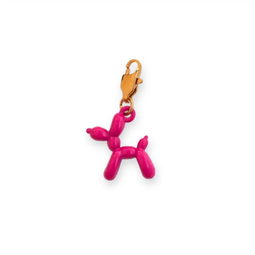 Charm Chien Coloré