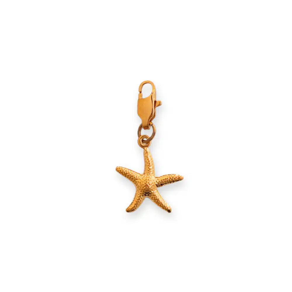 Charm Étoile de Mer