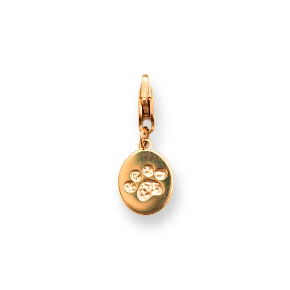 Charm Médaille Chien