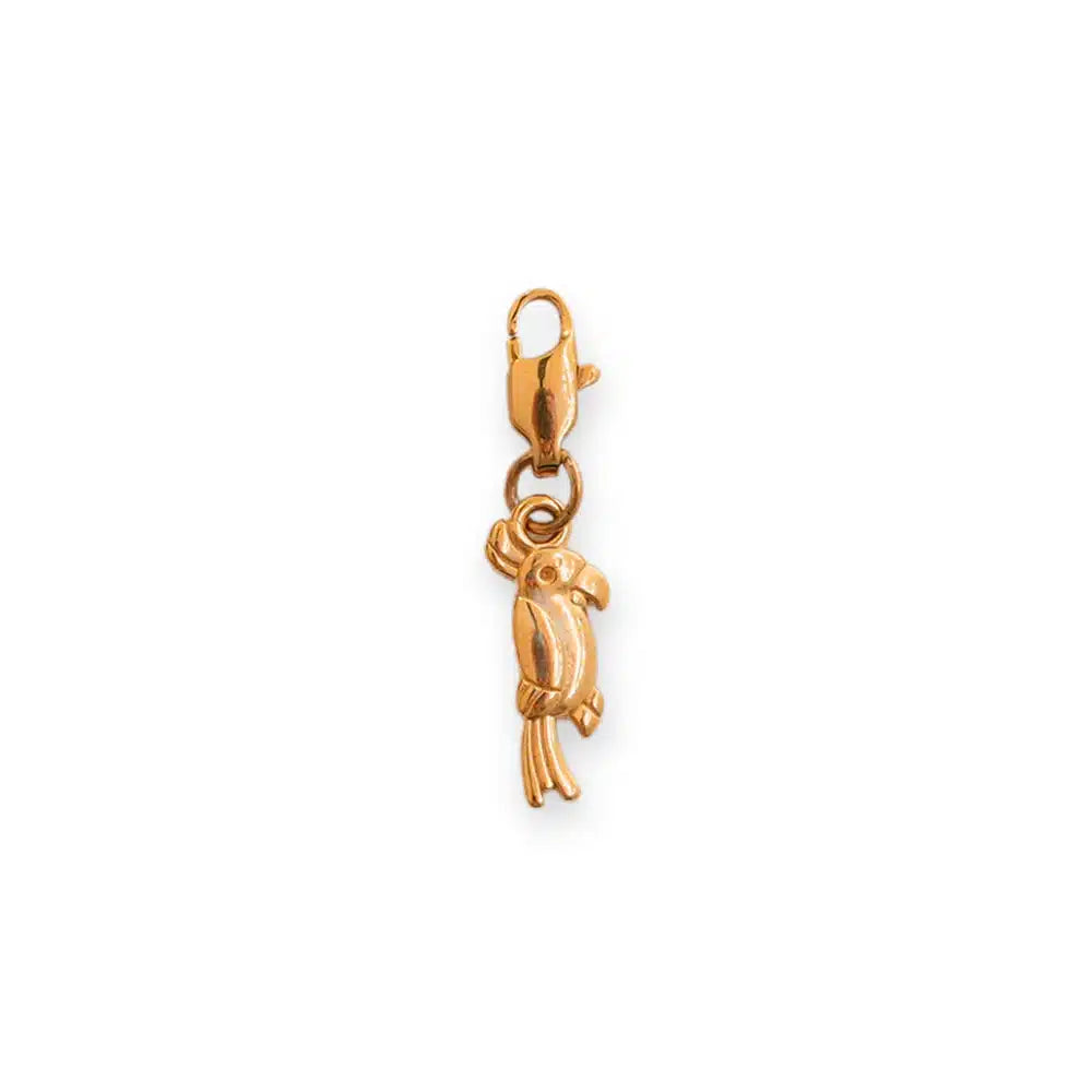 Charm Perroquet