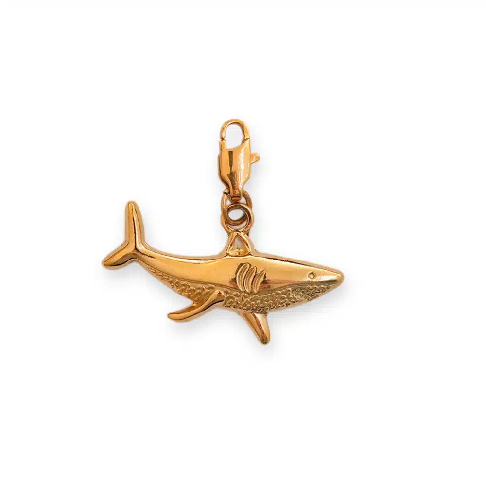 Charm Requin