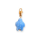 Charm Tortue Colorée
