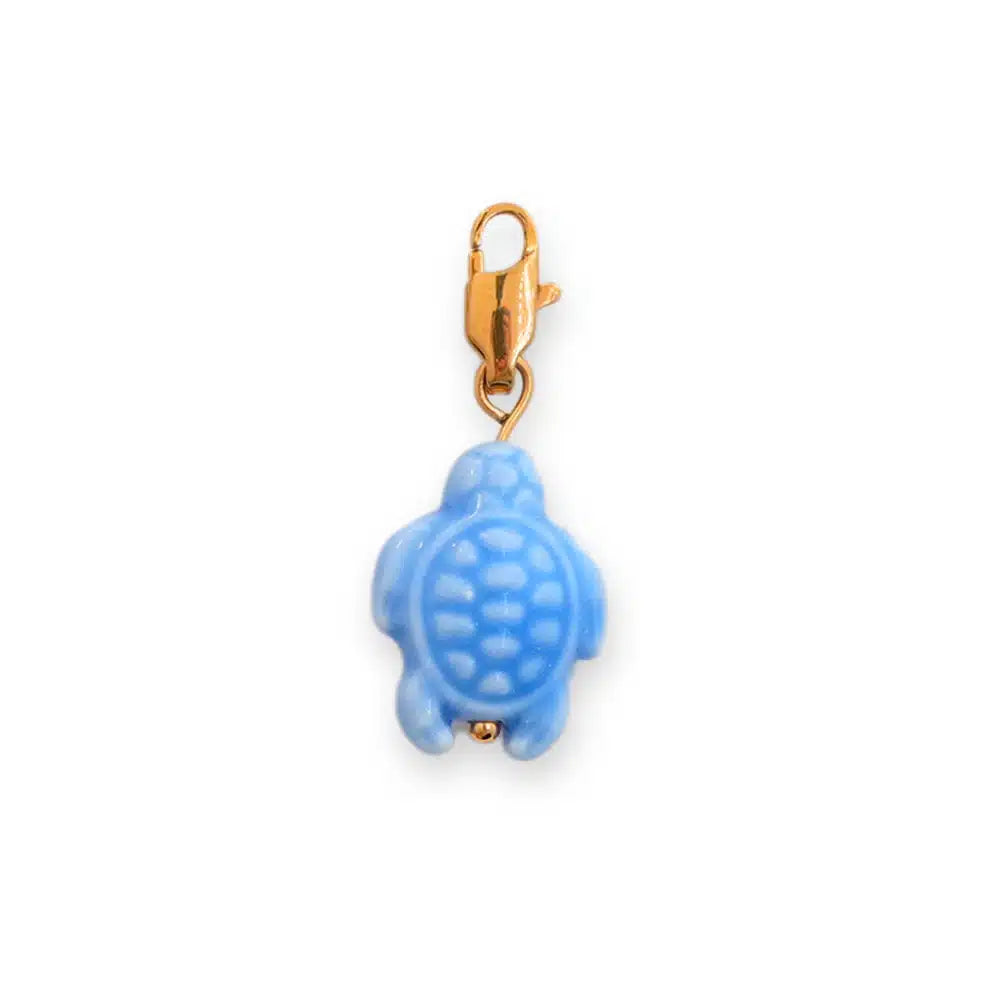 Charm Tortue Colorée