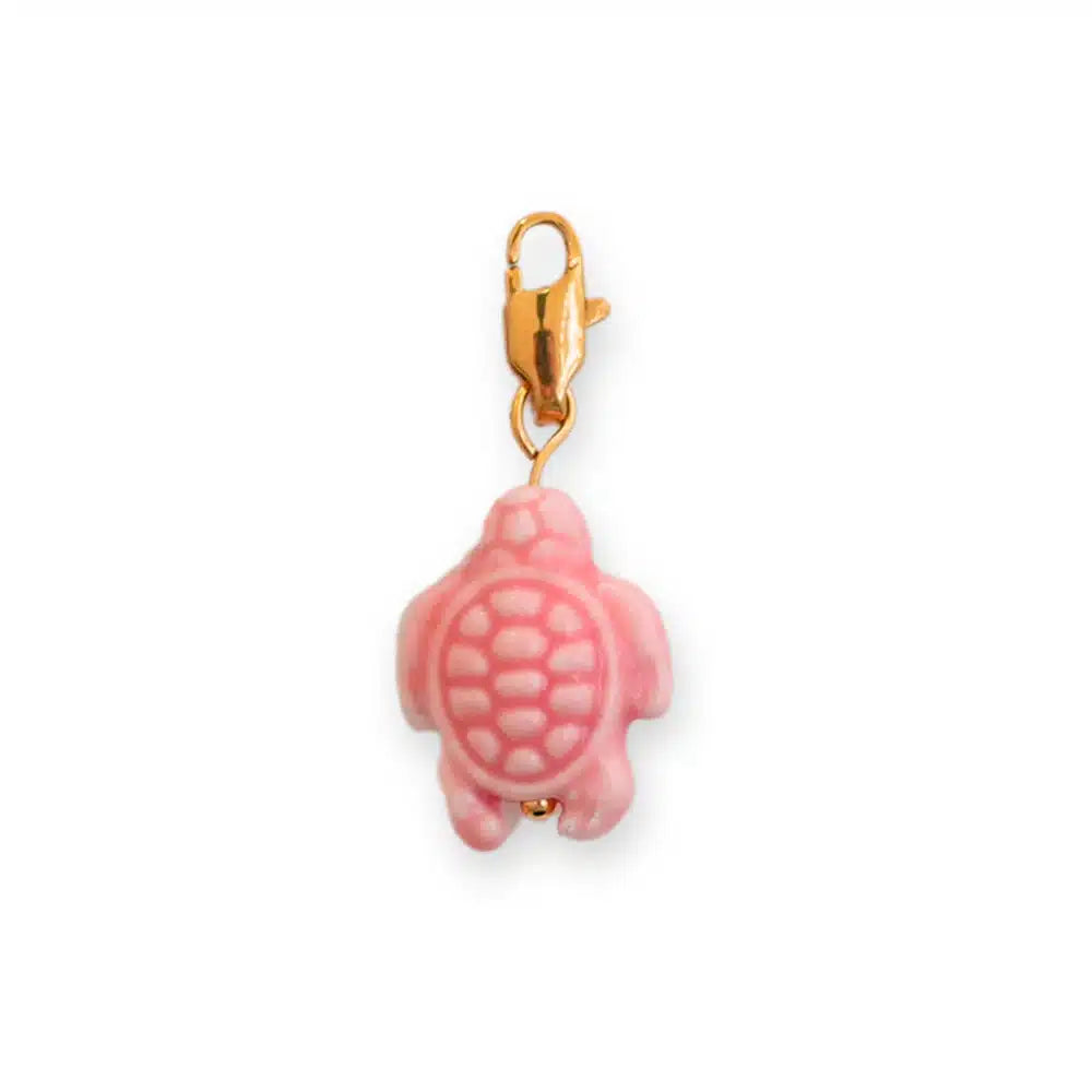 Charm Tortue Colorée