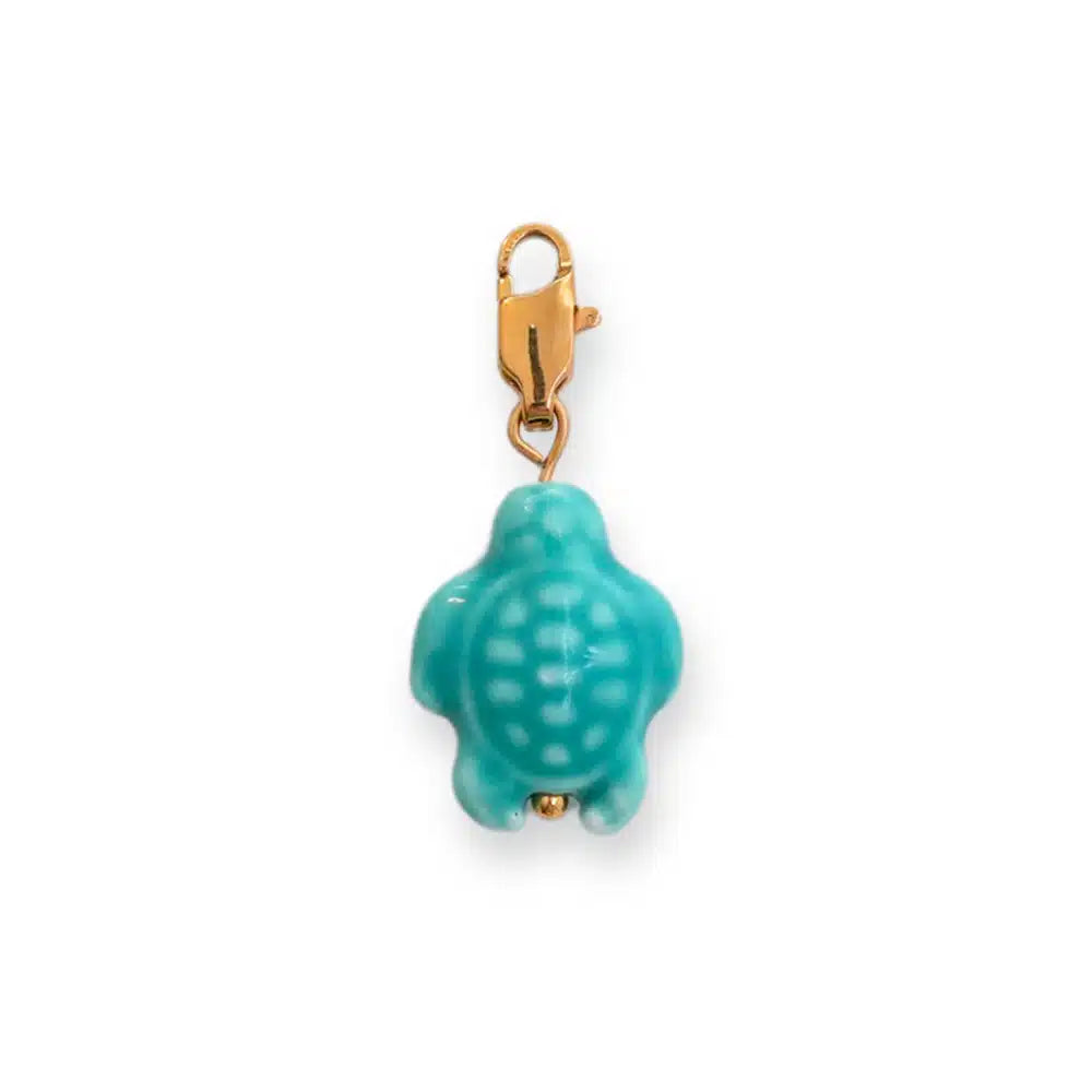 Charm Tortue Colorée