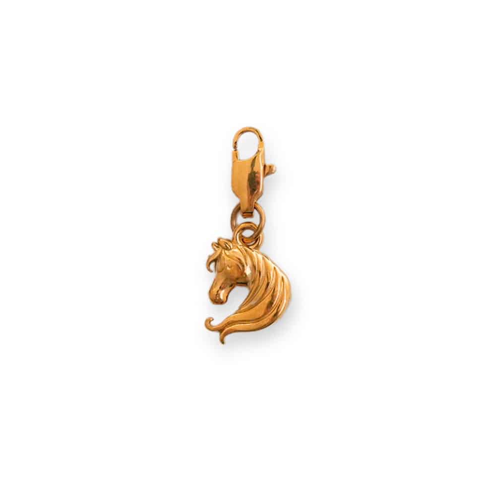 Charm Cheval