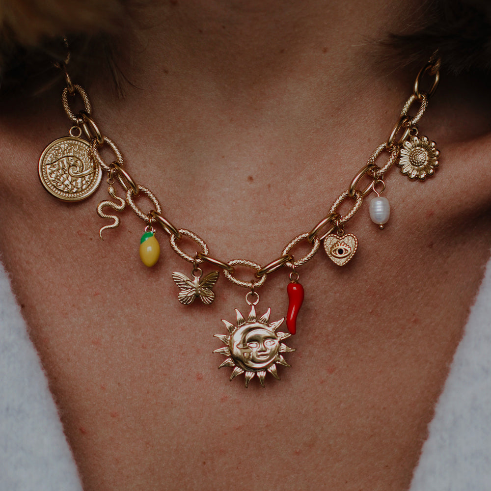 Charm Papillon