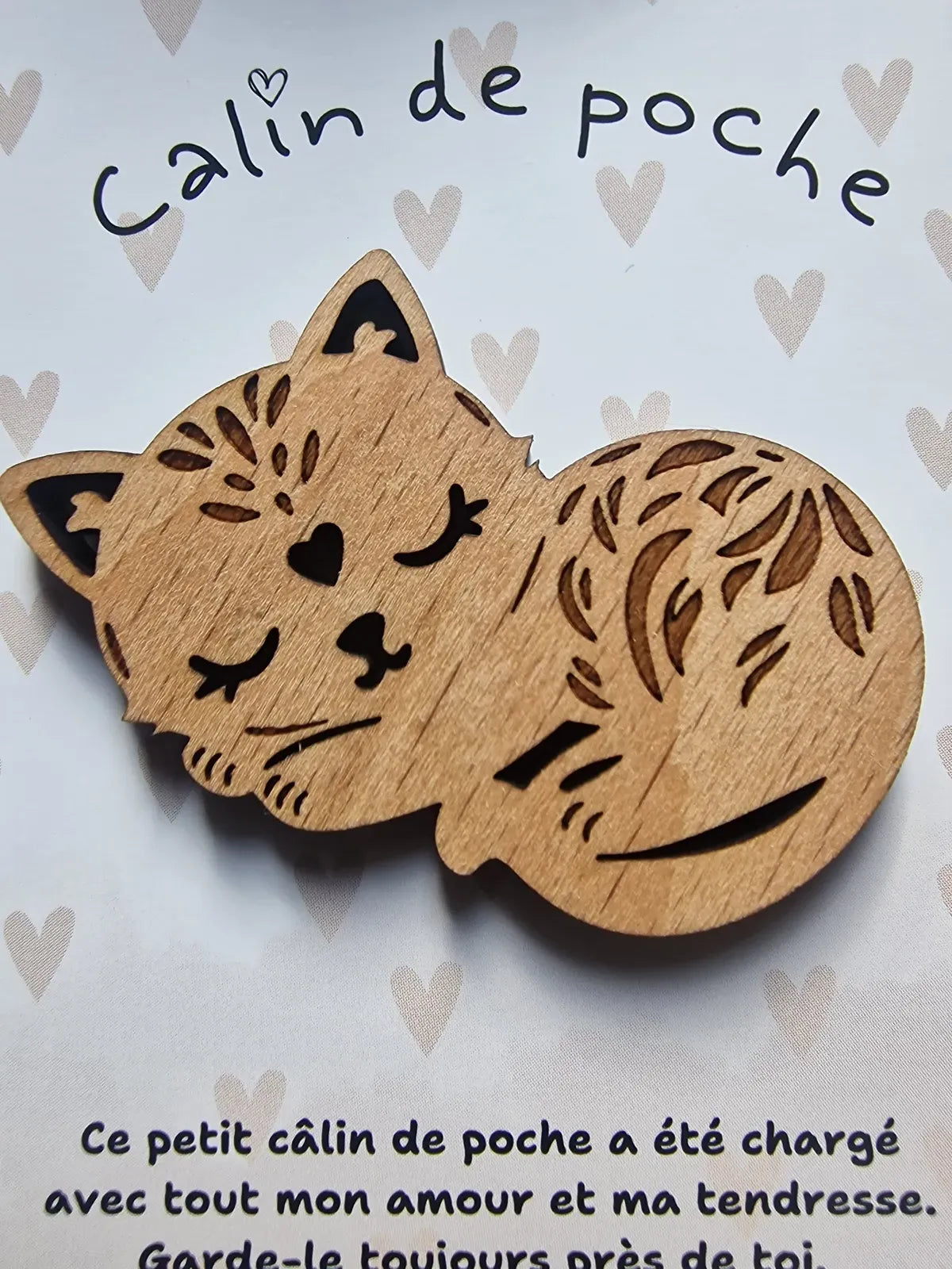 Câlin de Poche Chat
