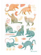 Poster Cool cat A3