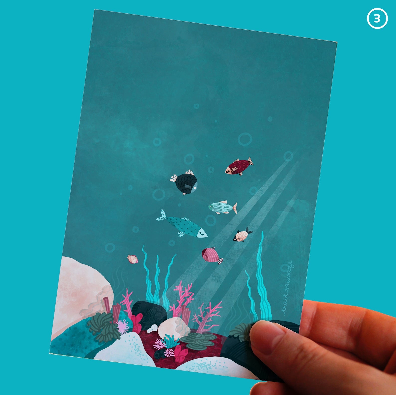 Carte Poissons