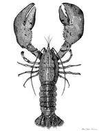 Affiche « Prestance et Élegance du Homard »