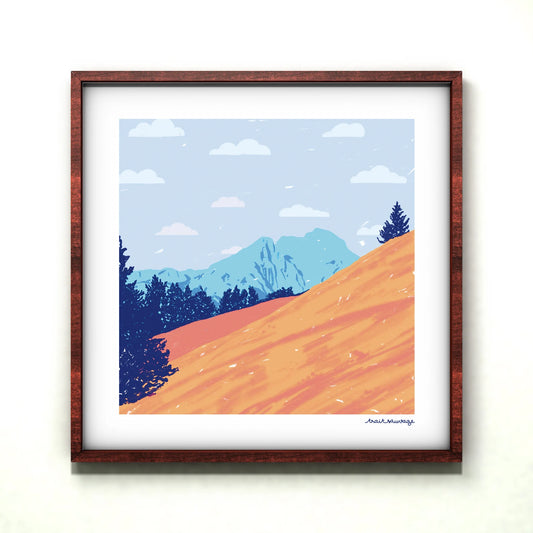 Poster 20x20 Forez